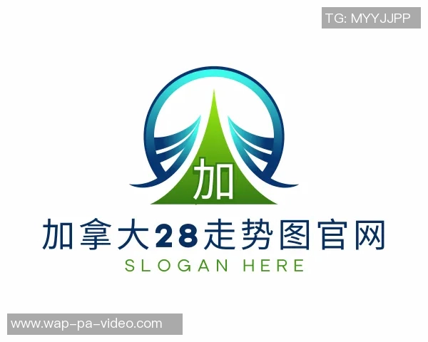 2010年足球明星的辉煌瞬间与传奇故事回顾