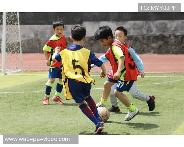 学校与足球俱乐部携手共建青少年足球发展新模式促进校园体育文化繁荣